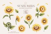 Autumn Watercolor floral collection, a Decorative Illustration by SashaKondr (Thumbnail 17 of 20)