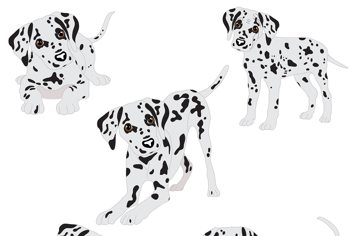 Dalmatian, an Animal Illustration by Orangepencil (Photo 6 of 7)