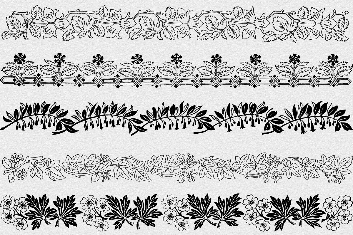 Procreate Vintage Nature Borders, a Brush Add-On by AW Studios (Photo 8 of 9)