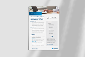 Single Page Case Study Flyer