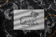 Vintage engraving. Zodiac Signs, an Animal Illustration by Chikovnaya (Thumbnail 4 of 15)