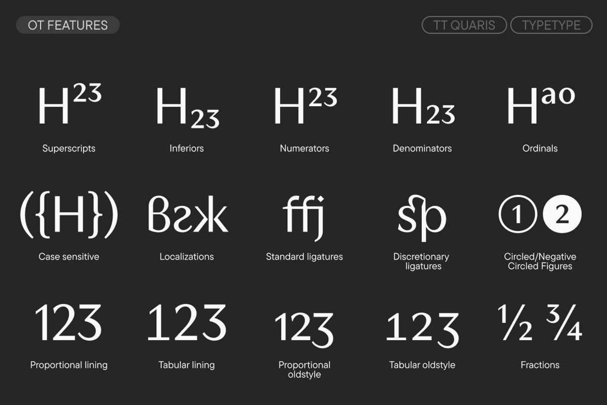 TT Quaris, a Serif Font by TypeType (Photo 12 of 15)