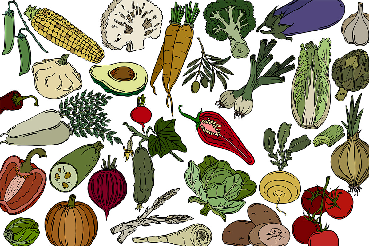 Vector vegetables, an Illustration by risovanya (Photo 6 of 9)