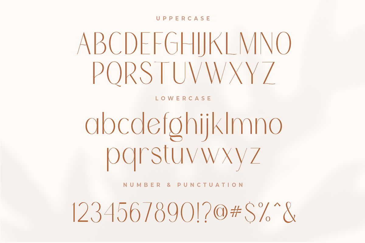 Anword | Modern Sans Display Font, a Sans Serif Font by Youthlabs Studio (Photo 10 of 20)