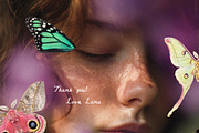 Butterflies Collection, an Object Graphic by Lana Elanor (Thumbnail 11 of 11)