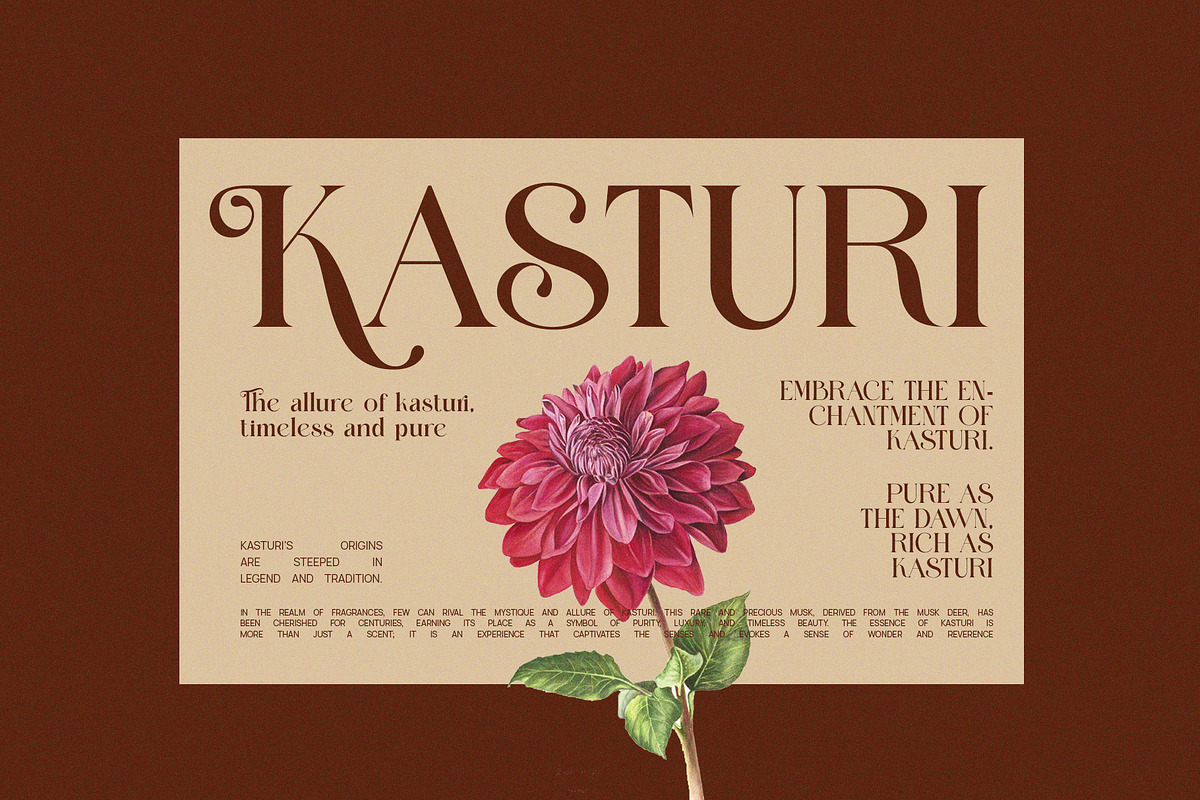 Thaling Modern Serif Font, a Serif Font by Perfectype (Photo 5 of 8)