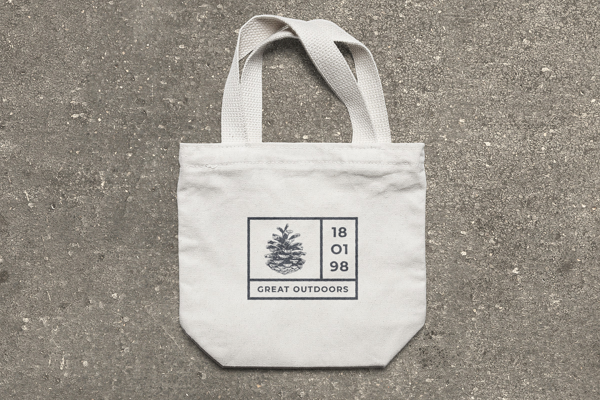 Pine Tree Elements | Illustrations, an Object Illustration by Max Lockwood (Photo 8 of 9)
