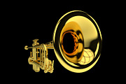 Set of trumpet, an Illustration by Mongkees (Thumbnail 3 of 5)