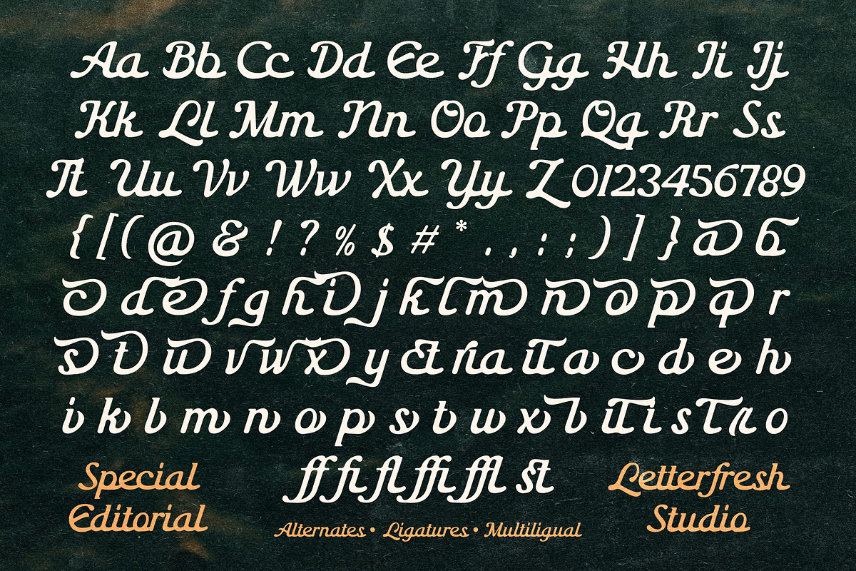 Special Editorial, a Script Font by Letter Fresh (Photo 12 of 13)