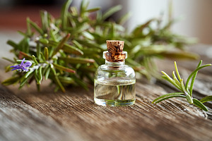 A bottle of aromatherapy essential oil with fresh blooming rosem