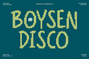 CS Boysen Disco, a Handwritten Font by Craft Supply Co. (Thumbnail 1 of 8)