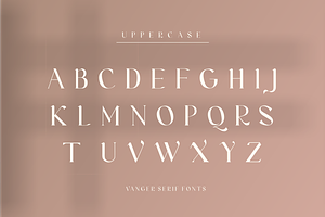 Vanger _ Modern Serif Font