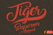 Tiger - Vector illustration, an Animal Illustration by Artistic & Unique (Thumbnail 4 of 10)