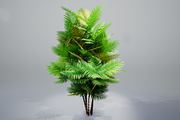 Pinanga coronata, an Environmental 3D Model by AndrewWhite (Thumbnail 8 of 25)