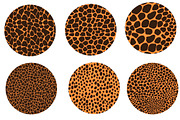 Seamless Animal Print Brush, a Brush Add-On by Elenbushe (Thumbnail 4 of 11)