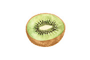 12 Kiwi Fruit Clipart Set, an Illustration by hafijul (Thumbnail 4 of 13)