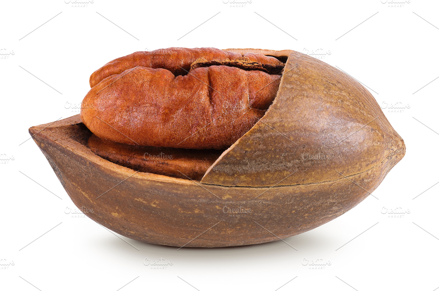 broken pecan nut isolated on white, a Food & Drink Photo by NataPhoto
