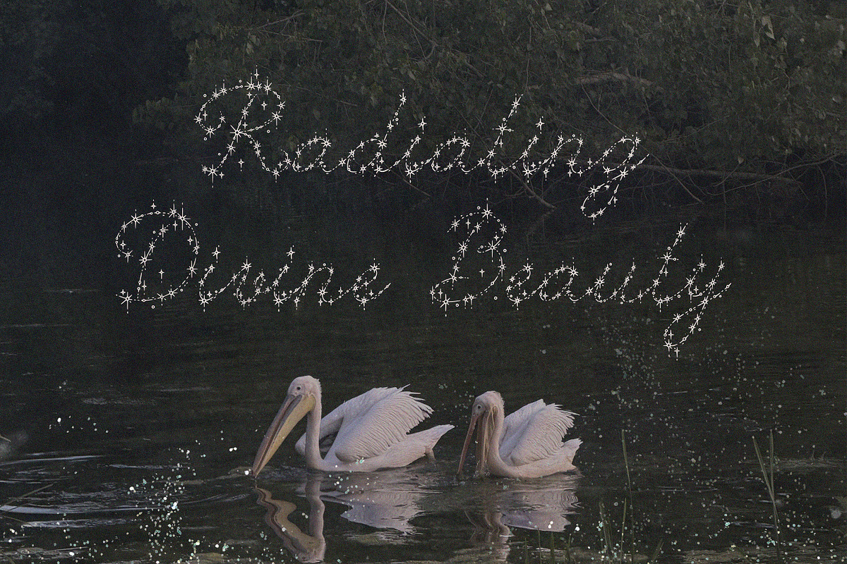 Spark Veil Decorative Glitter Font, a Script Font by AnMark (Photo 10 of 13)