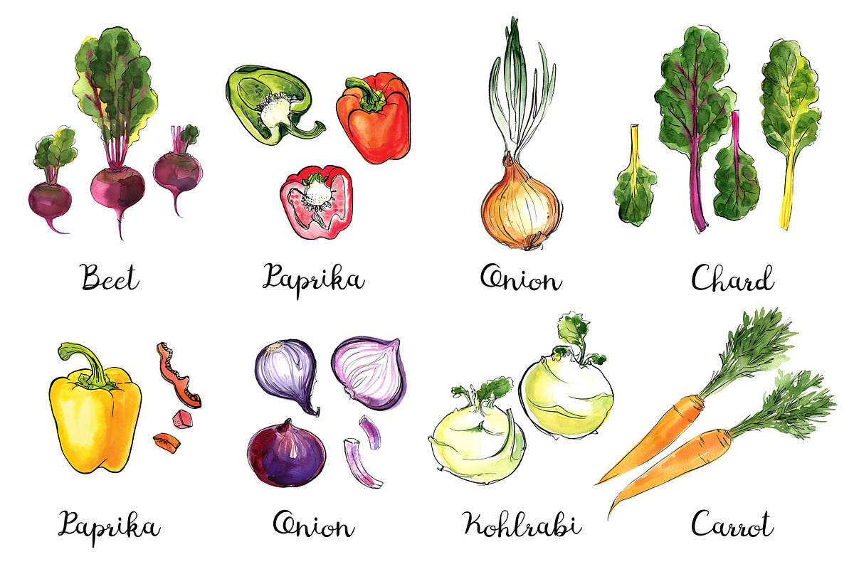 Food watercolor. Vegetables, a Food Illustration by irina.vaneeva (Photo 7 of 25)