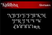 Kindllyna - Modern Serif Font, a Serif Font by Rishsketch (Thumbnail 11 of 13)