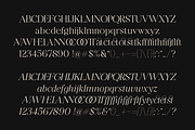Tangier - Classy Modern Serif, a Serif Font by Viswell (Thumbnail 12 of 12)