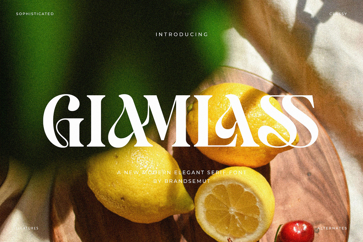 Giamlass - Unique Display Serif, a Serif Font by BrandSemut (Photo 16 of 16)