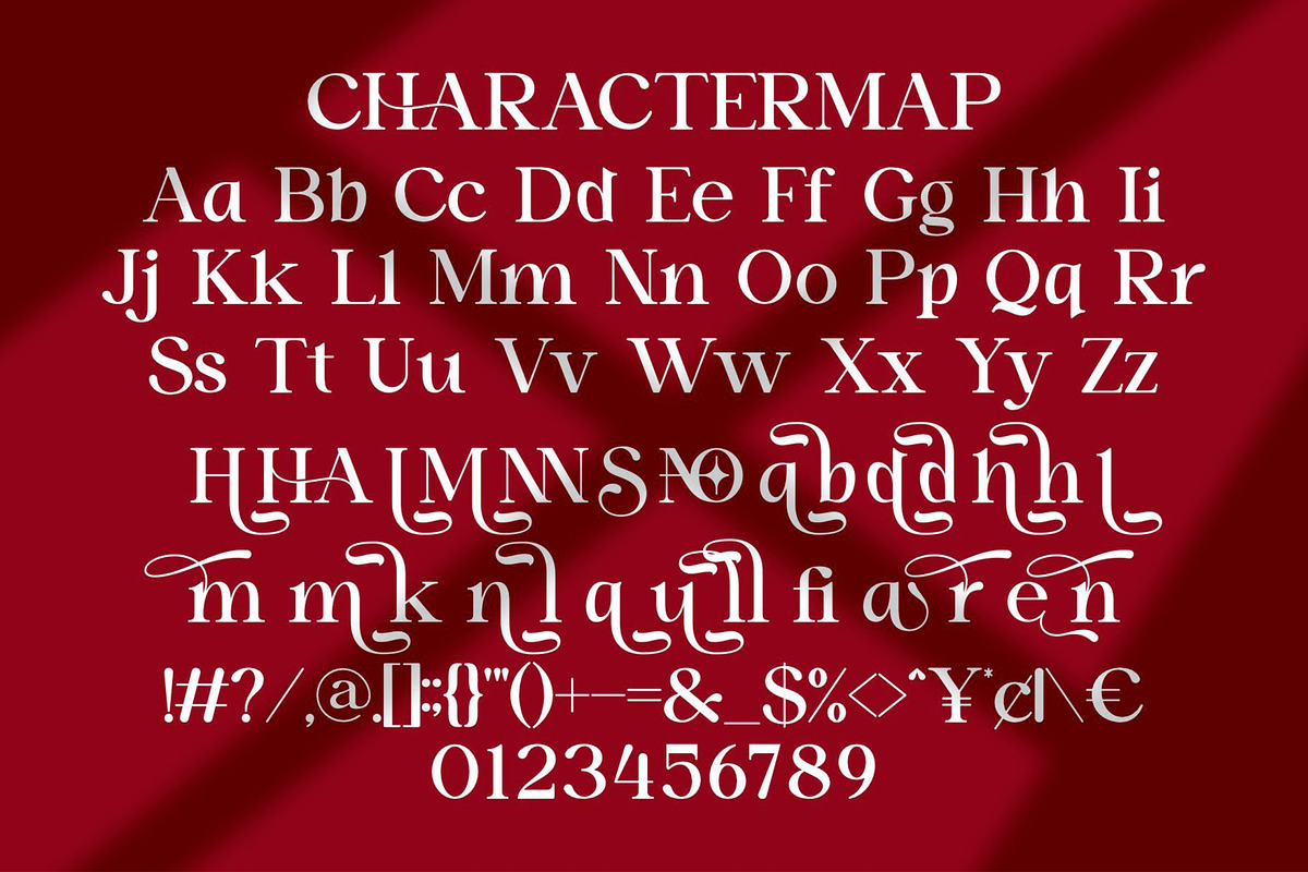 Serfia || Modern Classy Serif Font, a Serif Font by Ermedia Studio (Photo 10 of 10)