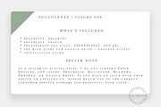 Succulent Procreate Stamps + PNG, a Brush Add-On by SorrDesign (Thumbnail 5 of 5)