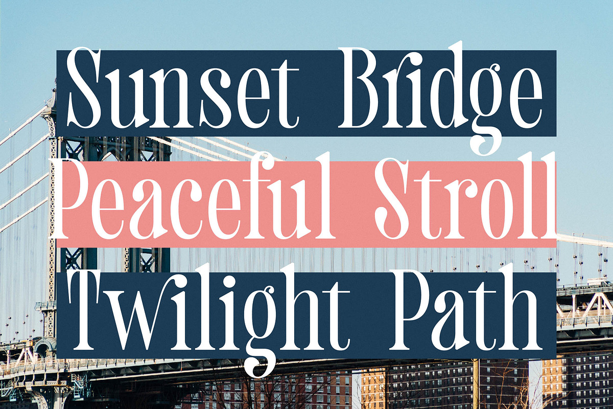 Trangels New Tall Serif Display, a Serif Font by timelesstype.co (Photo 9 of 20)
