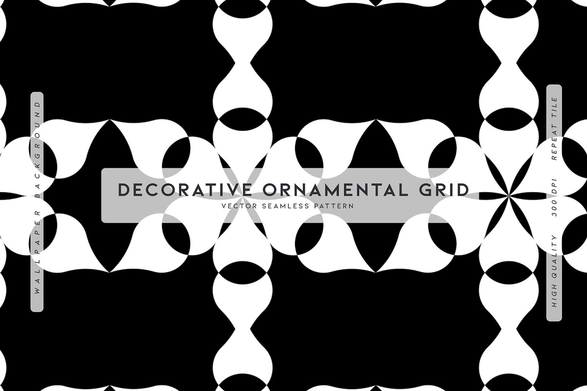Decorative Ornamental Grid, a Pattern Graphic by MalyskaStudio (Photo 1 of 5)