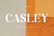 Casley - Modern Serif Font, a Serif Font by TypeLogue (Thumbnail 1 of 5)