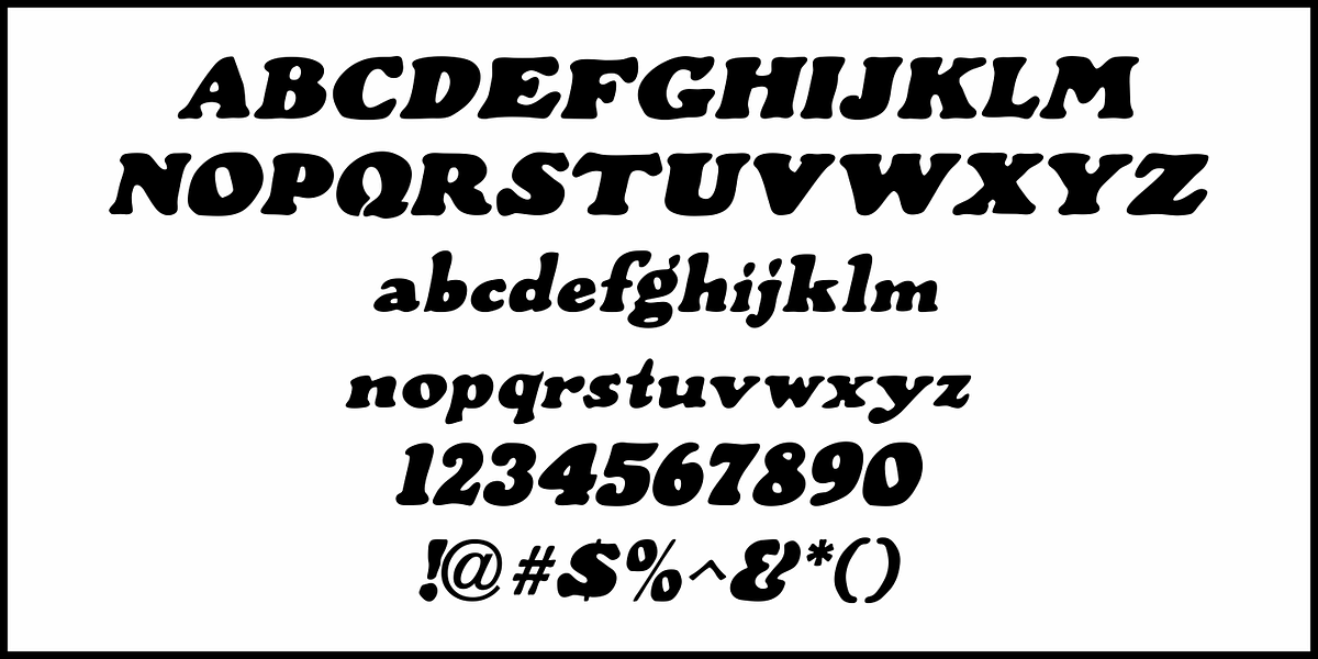 Tenement JNL, a Serif Font by Jeff Levine Fonts (Photo 5 of 5)