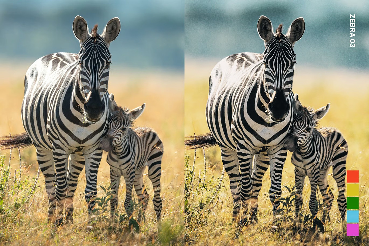 25 Safari Lightroom Presets and LUTs, a Preset Add-On by Hubzway (Photo 14 of 14)