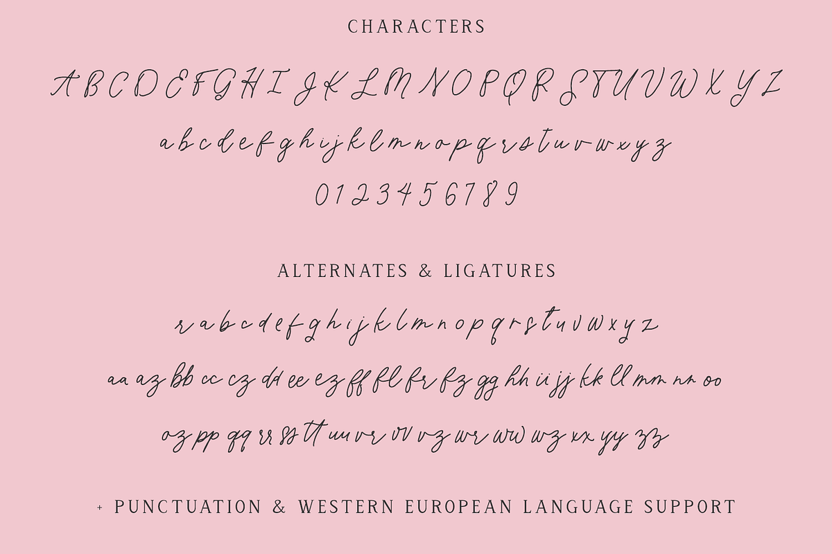 Dear Rosalind Script, a Script Font by Beck McCormick (Photo 10 of 10)