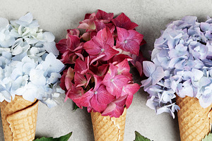 Trio of Hydrangea Ice Cream Cones on Light Background, a Holiday Photo by Natalia Klenova's Shop