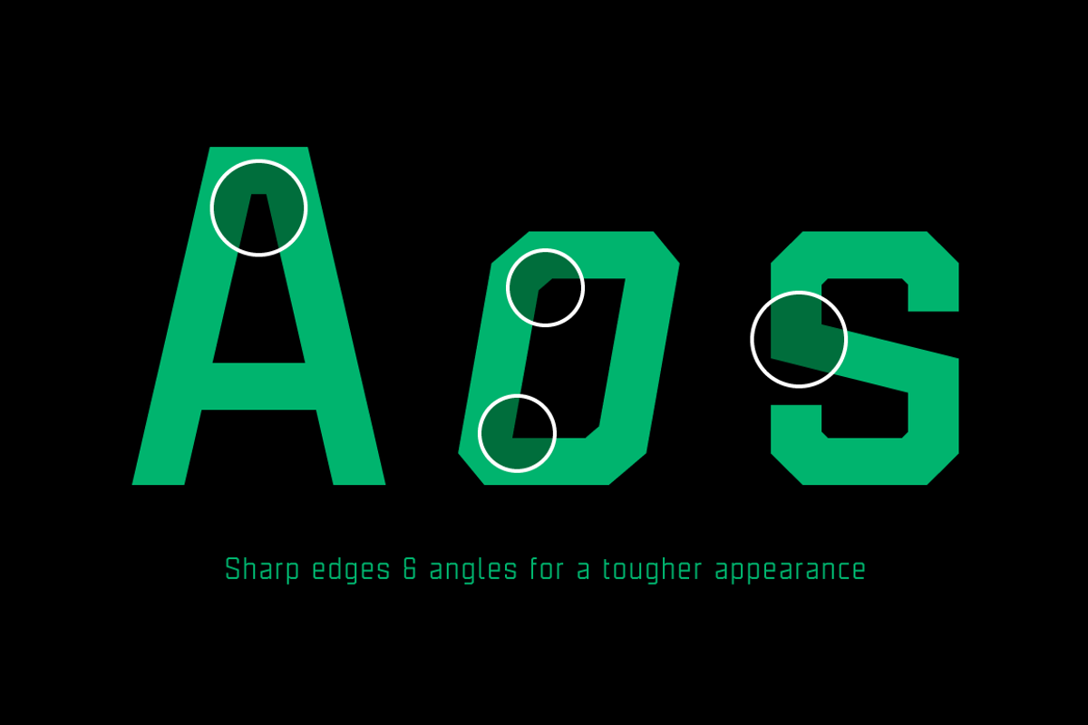 Binaria Font Family preview 6