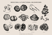 Mushrooms Vector Illustration Bundle, a Food Illustration by Yevheniia (Thumbnail 4 of 8)