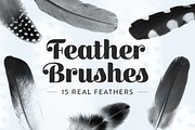 Feather Photoshop brushes