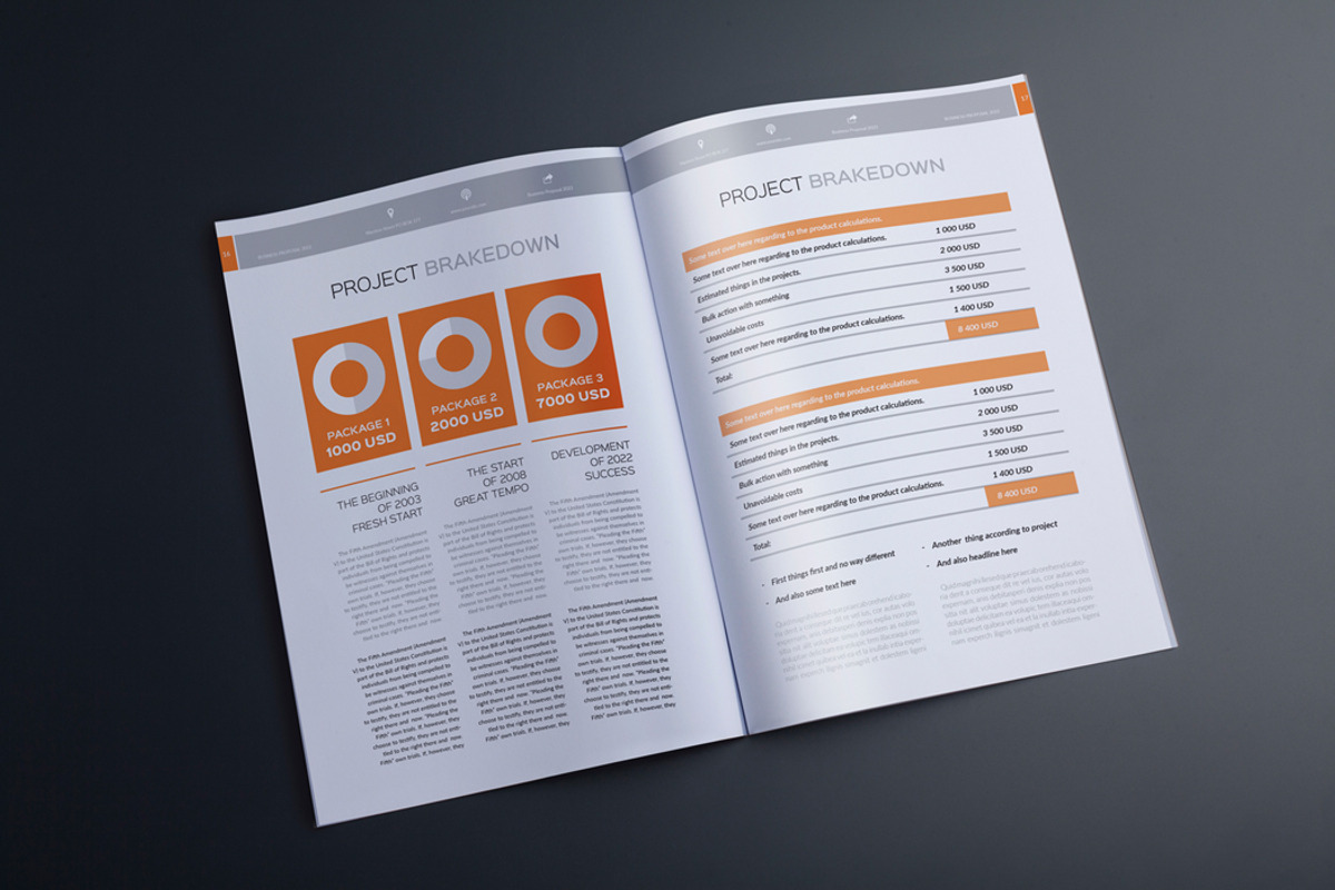 Rudanstudio Proposal Template, a Brochure Template by RudanStudio (Photo 9 of 17)