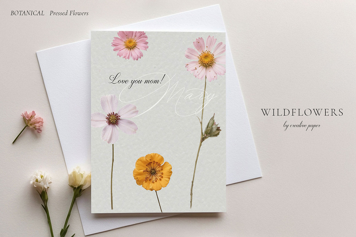 Pressed Flowers (Png) HELLO SPRING, a Background Graphic by by creative paper (Photo 5 of 13)
