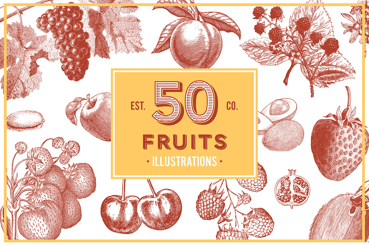 Vintage Illustrations - Free Update, an Animal Illustration by hypegraphic (Photo 11 of 12)