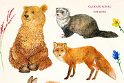 Forest animals .watercolor, an Animal Illustration by MitrushovaArt (Thumbnail 2 of 7)