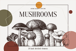 Vector Mushroom Sketches Set