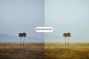 KODAK LIGHTROOM MOBILE PRESETS, a Plug-in Add-On by AmuletPresets (Thumbnail 7 of 8)