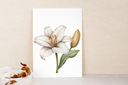 Spring Flowers Watercolor Clipart, an Illustration by Libby Wishes (Thumbnail 5 of 7)
