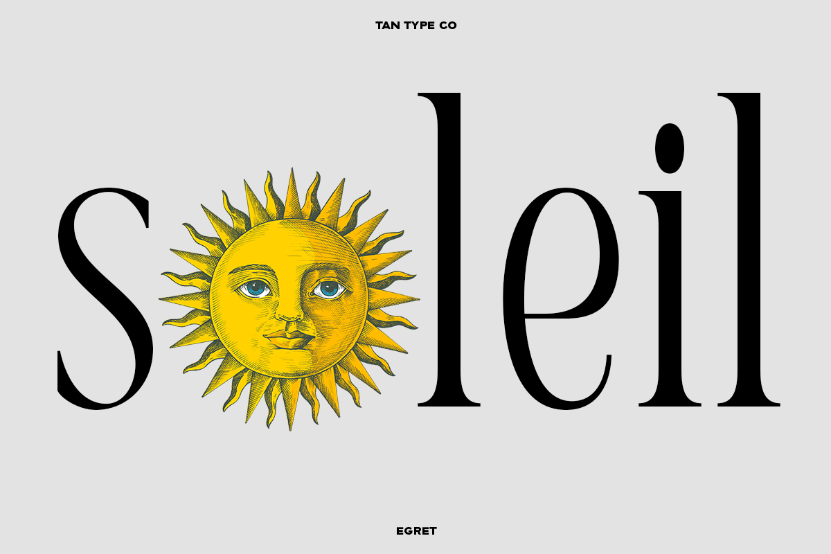 TAN - EGRET, a Serif Font by TanType (Photo 8 of 19)