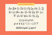 Silent Diary Font, a Script Font by Timurtype (Thumbnail 3 of 7)