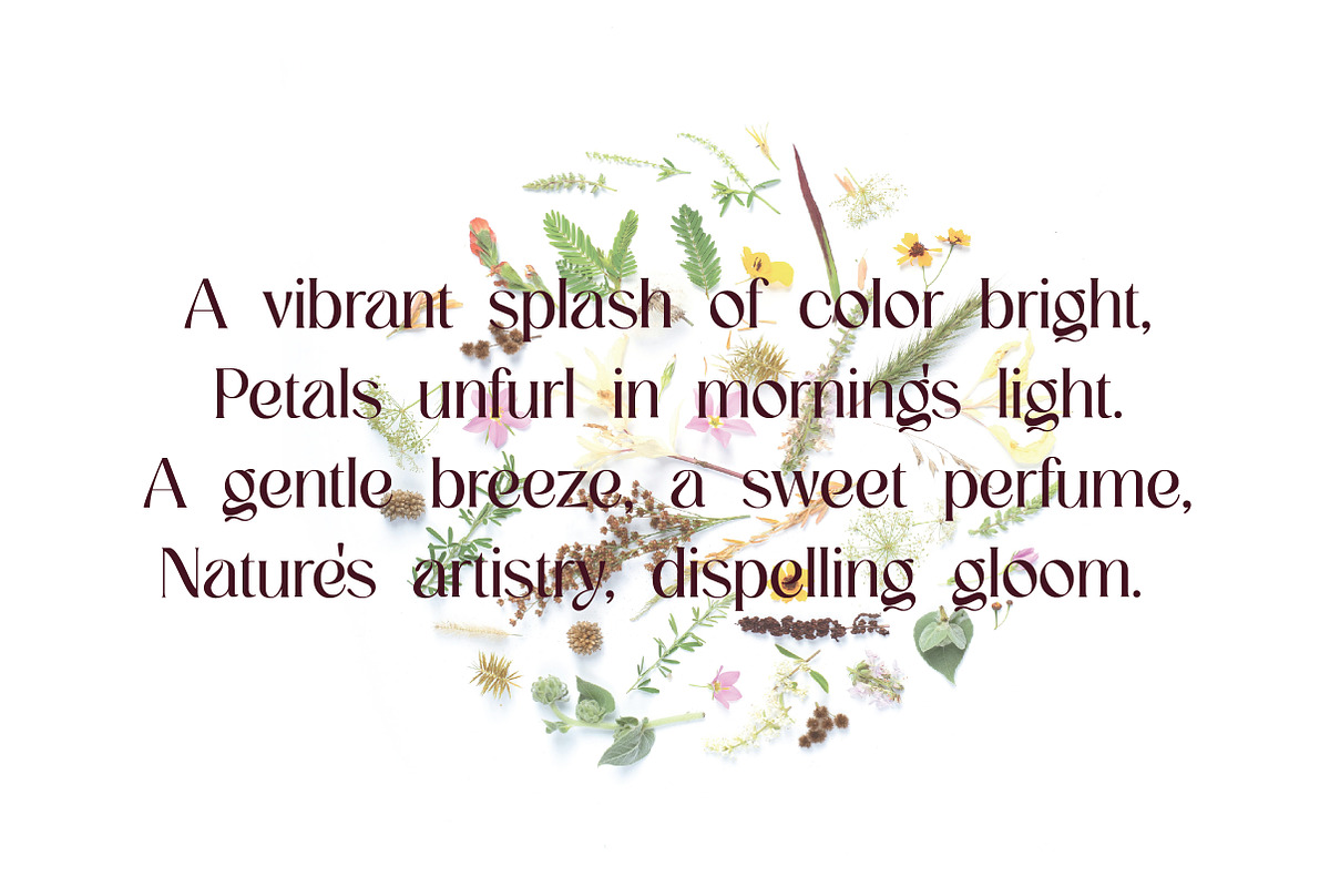 Mirezio | Sophisticated Modern Serif, a Serif Font by Artdez (Photo 3 of 5)