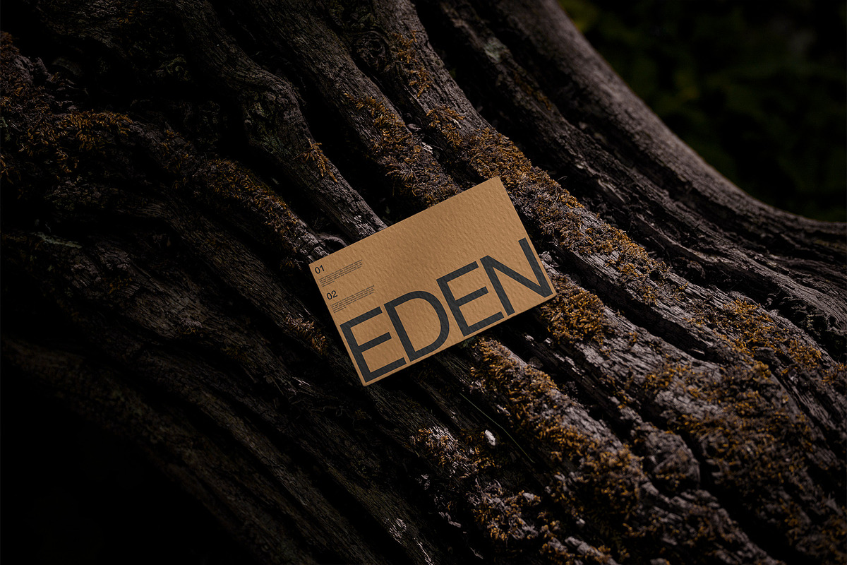 FORMAT EDEN BUSINESSCARD 02, a Product Mockup by Format Mockups (Photo 3 of 3)