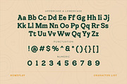 Homeplay - Font Slab Serif, a Slab Serif Font by Typia Nesia (Thumbnail 2 of 16)